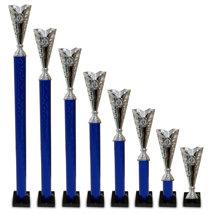 CENTRE HOLDER SILVER CUP PLASTIC TROPHY - WITH CHOICE OF SPORTS CENTRE - 8 SIZES